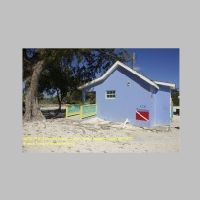 38751 18 072 Colliers Beach,  Grand Cayman, Karibik-Kreuzfahrt 2020.JPG